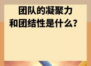 开云体育官网-关于对手势均力敌，一场胜利凝聚团队的力量的信息