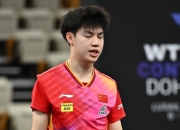 开云体育中国-比利时乒乓球队血洗瑞典乒乓球队，王皓打破历史纪录的简单介绍