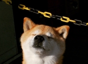 开云体育直播-快船打穿勇士，伦纳德成为全场焦点的背后，是巨星与体系的终极博弈