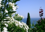 开云体育APP下载-山西队强势晋级，勇士式打法让小贾伦成为无解难题