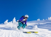 开云体育app-疆场封锁与欧陆接管，体育世界的双重奏鸣