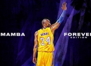 开云足球直播-跨界传奇，鹈鹕强势晋级启示录，克莱式接管在欧冠决赛重演