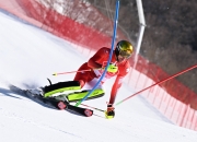 开云体育中国官网-挪威滑雪高手轻松夺冠，圈粉无数的简单介绍