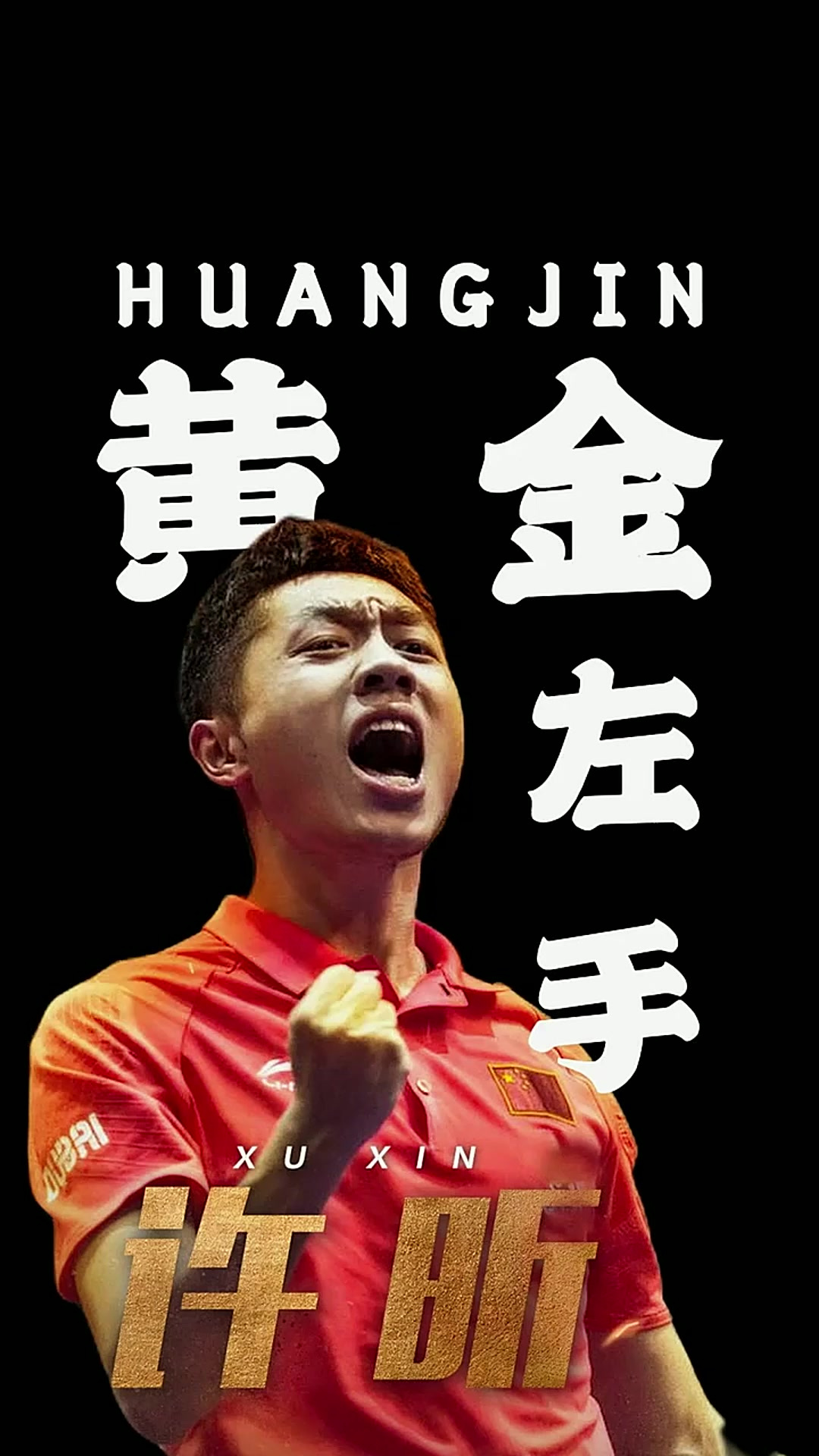 法国乒乓球队强势比利时乒乓球队，许昕关键制胜的简单介绍