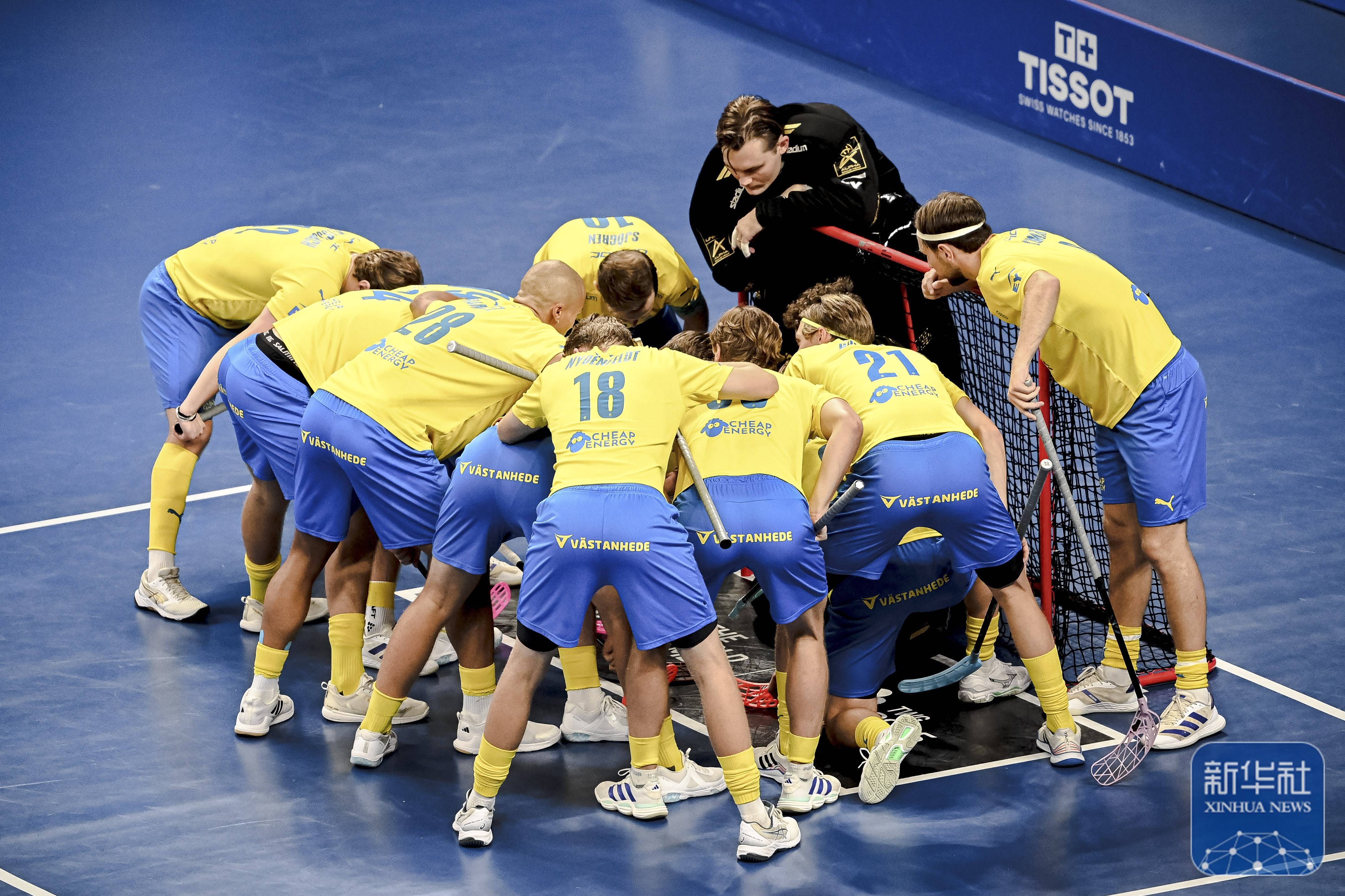 瑞典队完胜韩国队，张本智和统治全场的简单介绍