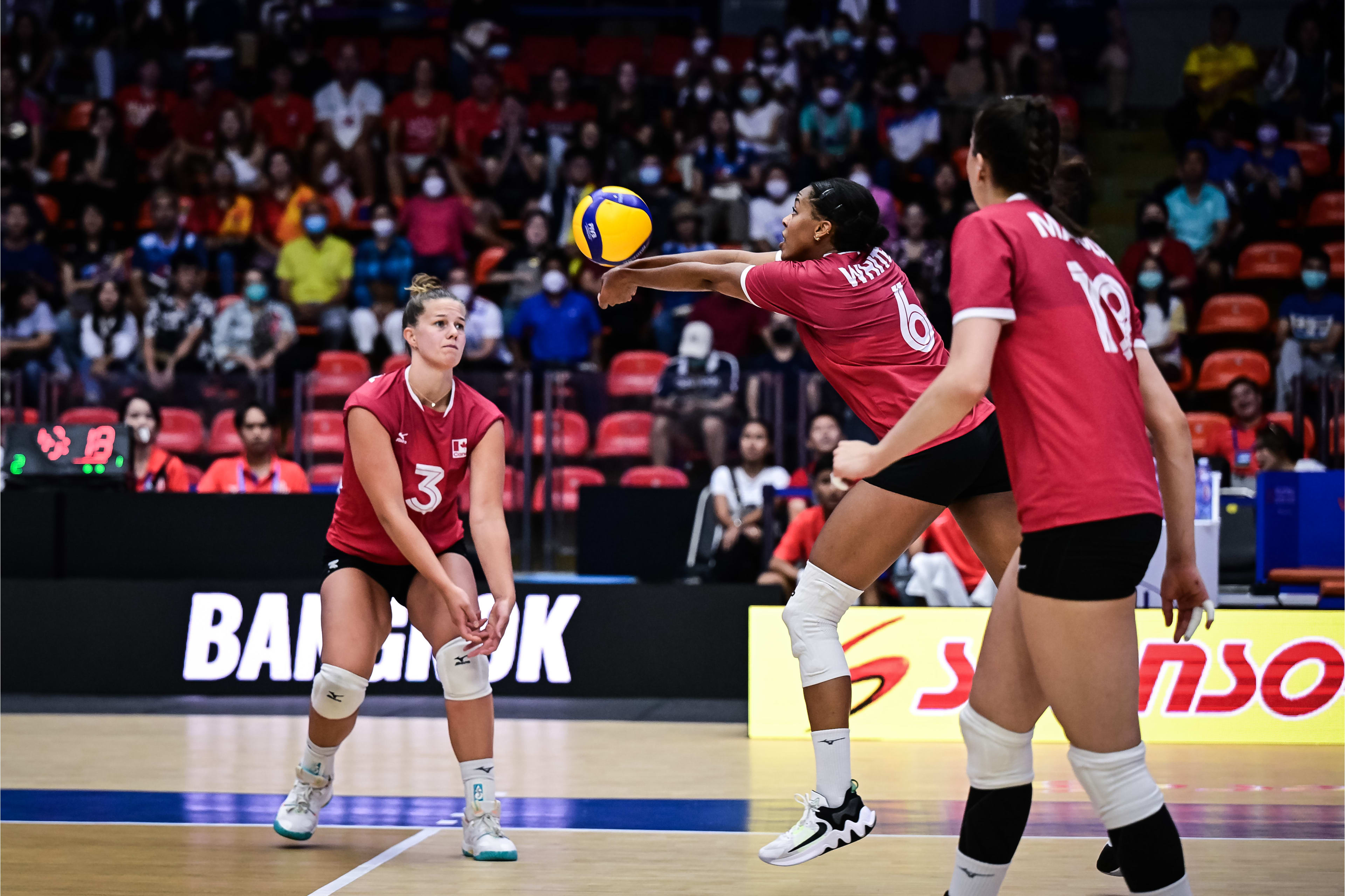 荷兰女排遭遇挑战，需奋力拼搏的简单介绍