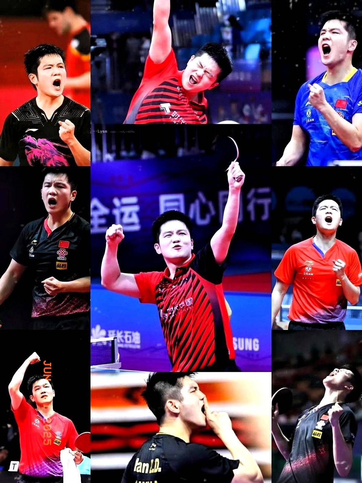 波兰队鏖战德国队，樊振东高光表现的简单介绍