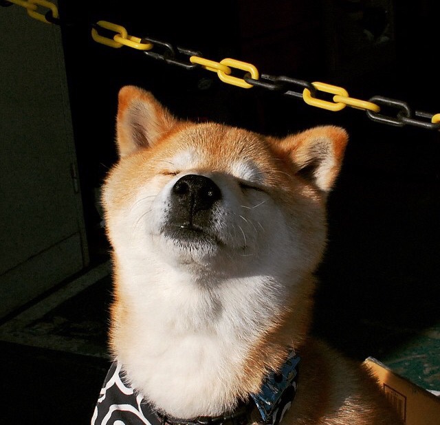 快船打穿勇士,伦纳德成为全场焦点的背后,是巨星与体系的终极博弈