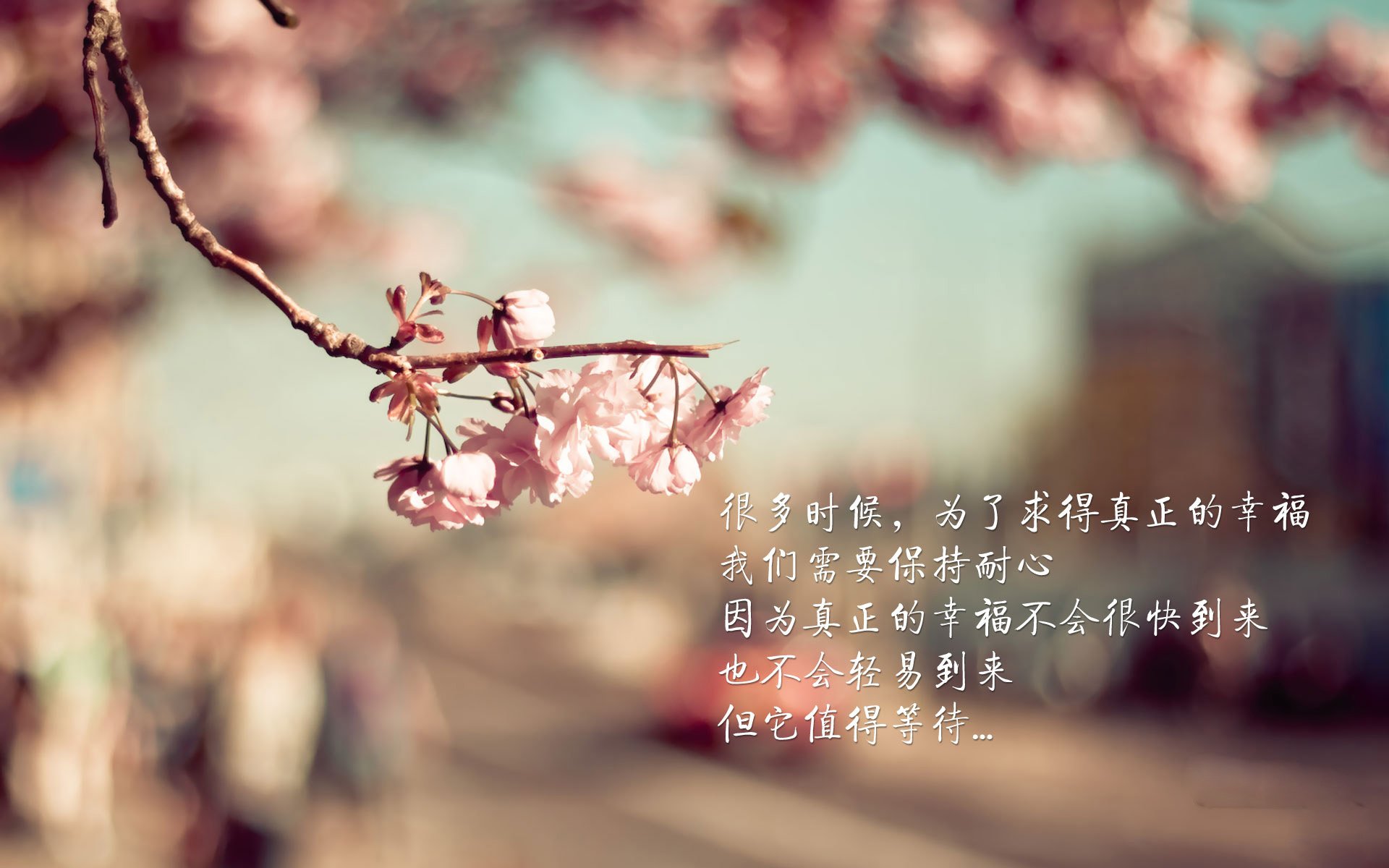 哈兰德点燃赛场，埃及速胜牙买加背后的战术与激情