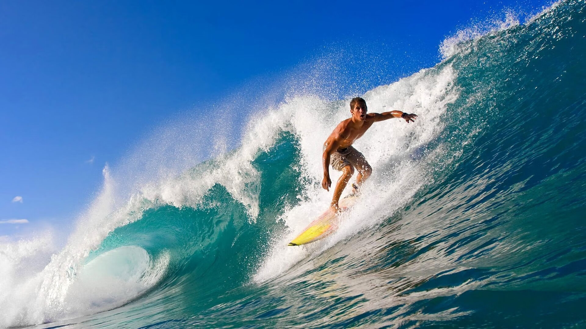 赛道与绿茵场,日本双线告捷的启示