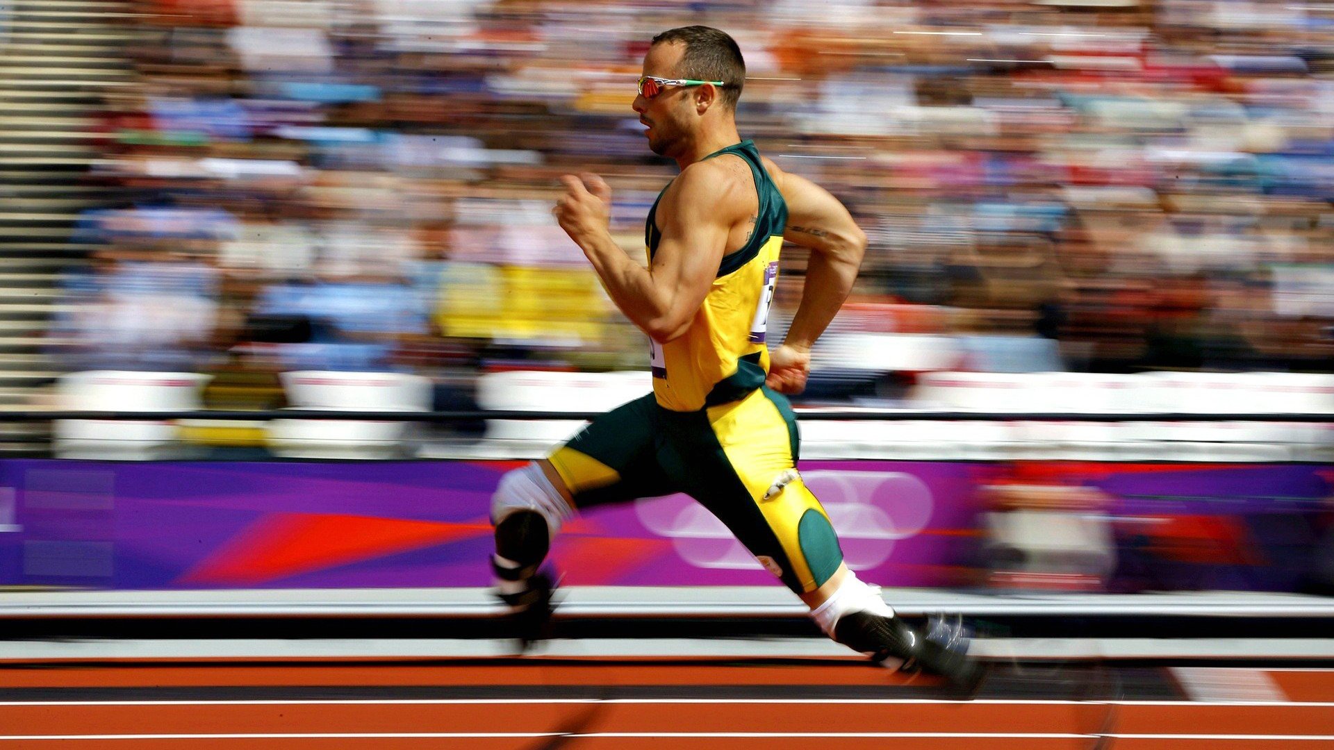 数据爆炸中的突尼斯奇迹，布鲁诺系统如何解码生死战胜加拿大