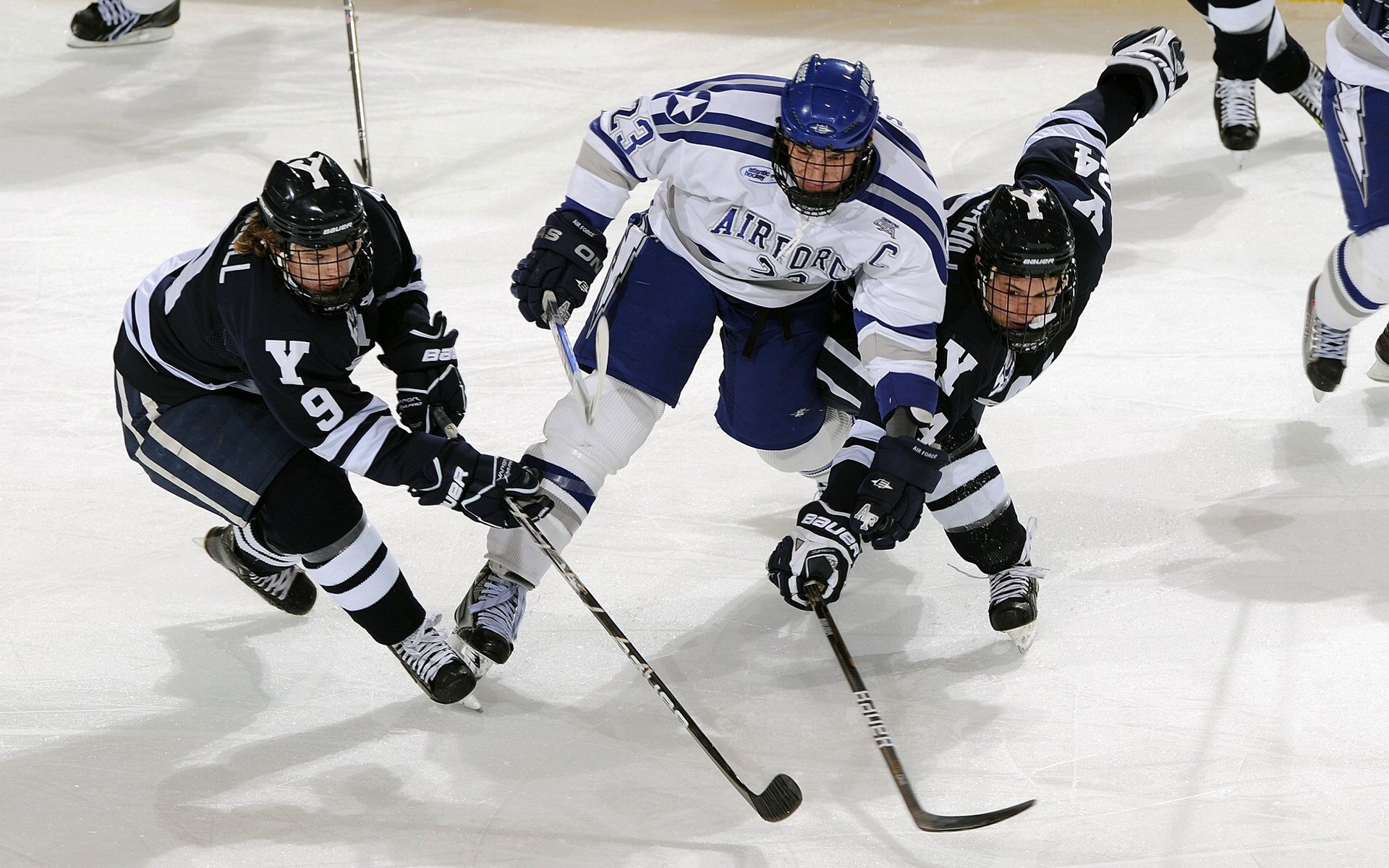 活塞粉碎国王，布克成为关键先生